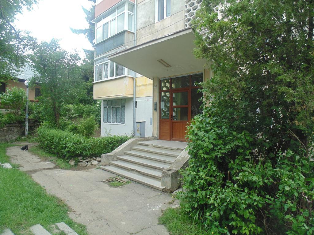 Lary Apartament 수체아바 객실 사진